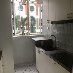 The Hermitage (D10), Apartment #563157131